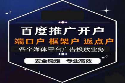 百度竞价推广案例：品牌崛起之路